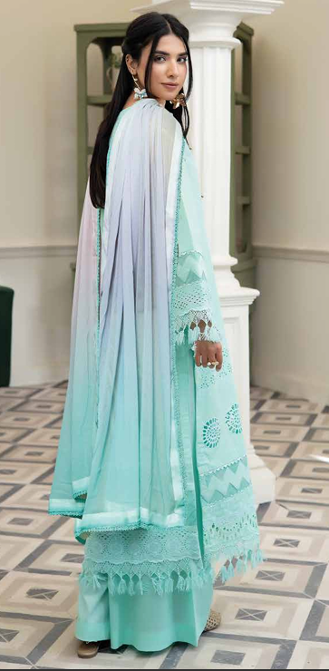 chicken Kari shirt ,pure digital chiffon dupatta, comfort trouser